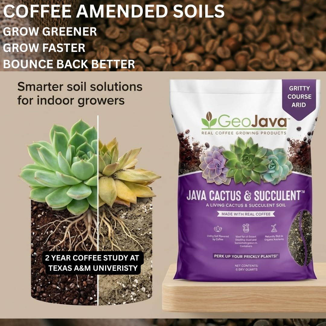 GeoJava ready-to-use succulent soil being poured into a pot.