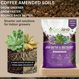 GeoJava ready-to-use succulent soil being poured into a pot.