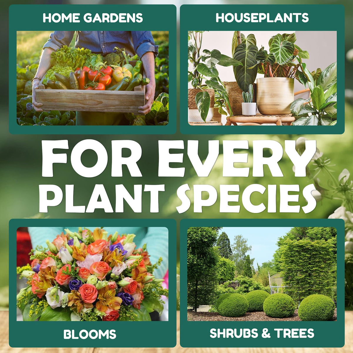 Geomust Neem Oil Spray outdoors on garden plants offers eco-friendly care.