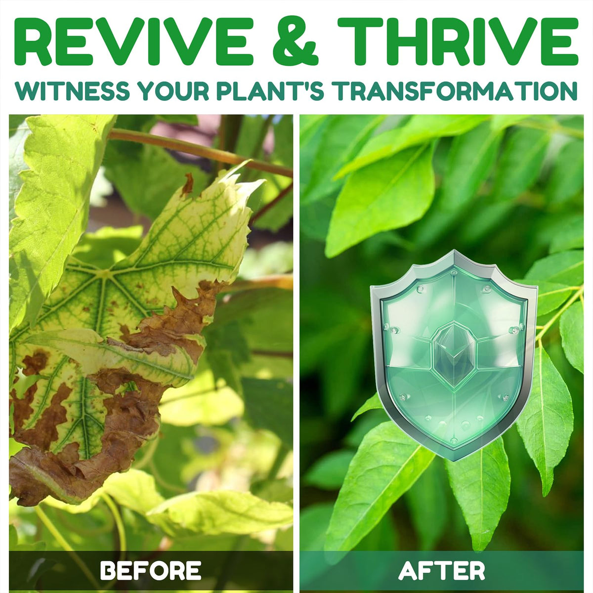 Geomust Neem Oil Spray on vegetables and herbs supports safe, healthy produce.