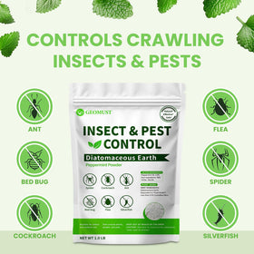 Geomust peppermint oil bottle adds a fresh scent while tackling crawling insects
