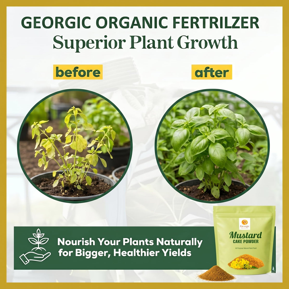 Georgic Mustard Oil Cake Powder slurry used as a slow release liquid feed