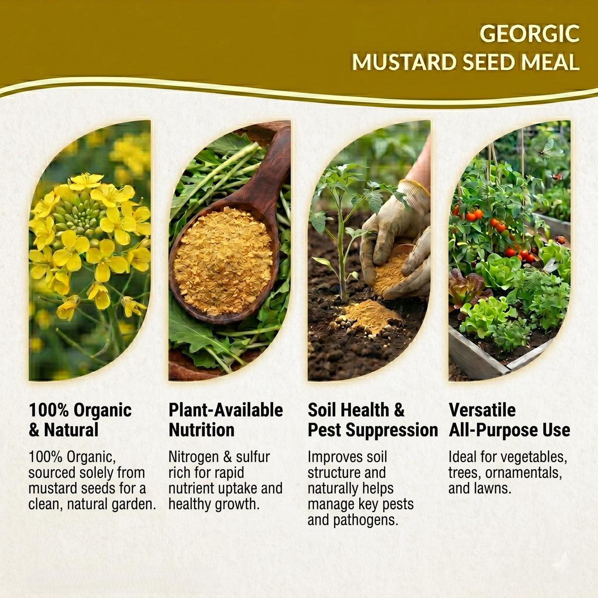Georgic Mustard Oil Cake Powder applied to potted plants is safe and easy