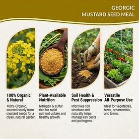 Georgic Mustard Oil Cake Powder applied to potted plants is safe and easy