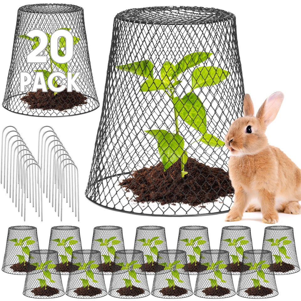 Geosar 20-pack chicken-wire cloche protects small plants from rabbits and pests.