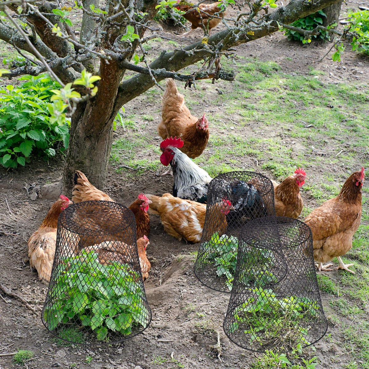 Geosar 40 U-shaped stakes anchor cloches for sturdy garden protection.