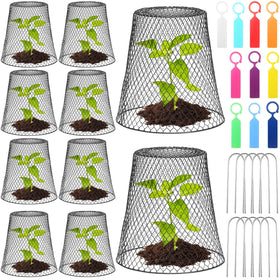 Geosar chicken wire cloche cover protects young plants from rabbits.