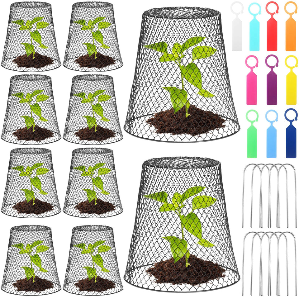 Geosar chicken wire cloche cover protects young plants from rabbits.