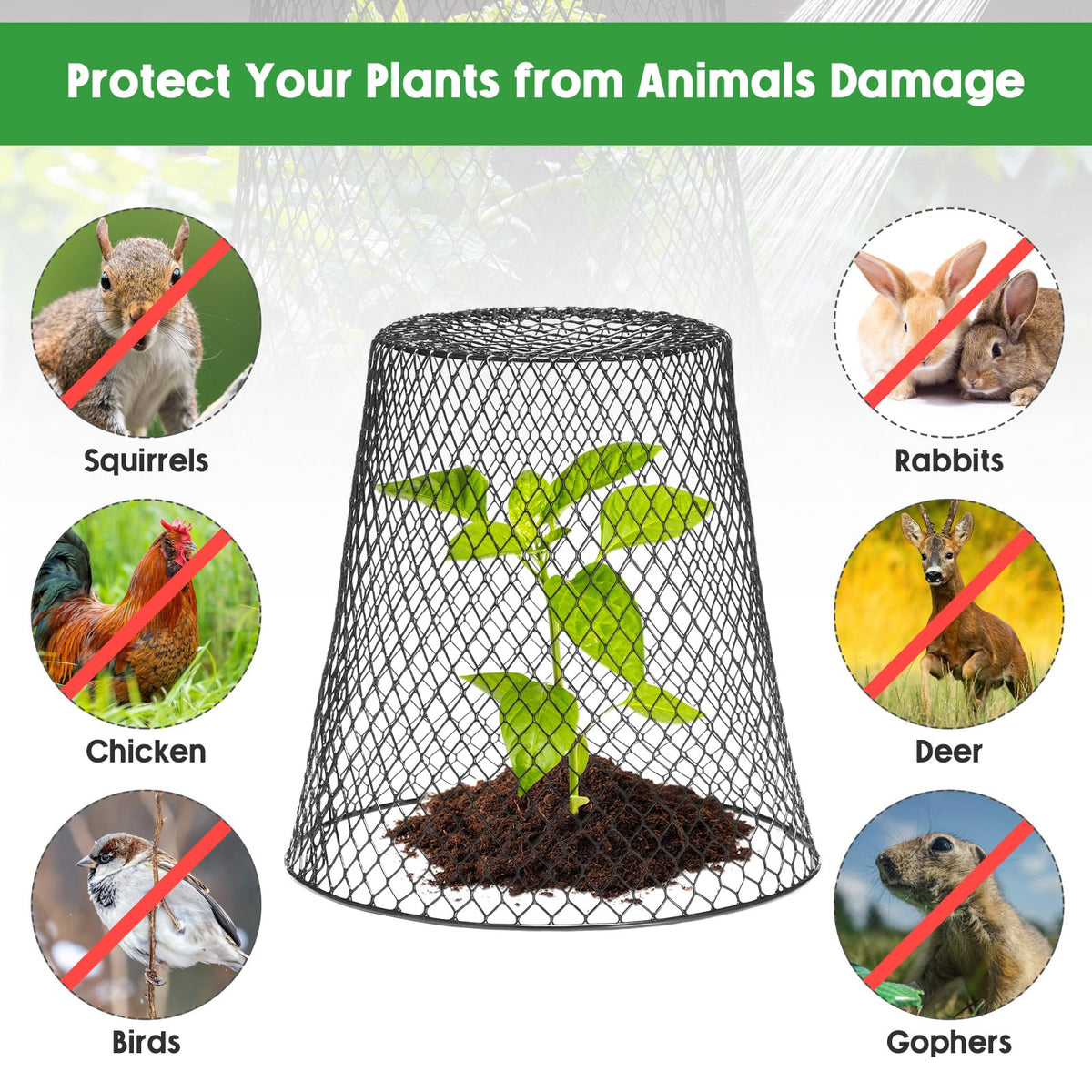 Geosar metal cloche with PVC coating resists rust for outdoor use.