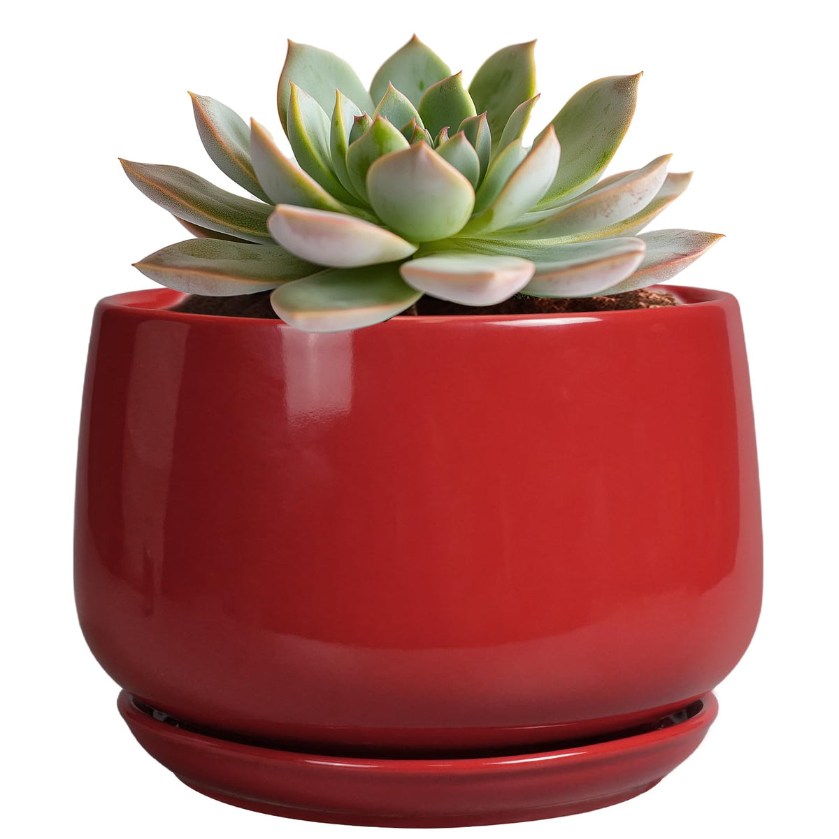 GEPGardening red ceramic pot 6-inch front view with durable glaze for stylish indoor decor