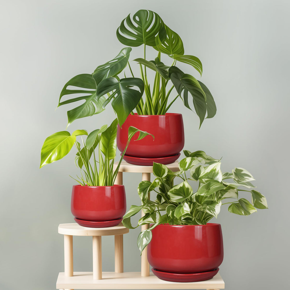 GEPGardening red 6-inch ceramic pot gift-ready packaging for housewarming