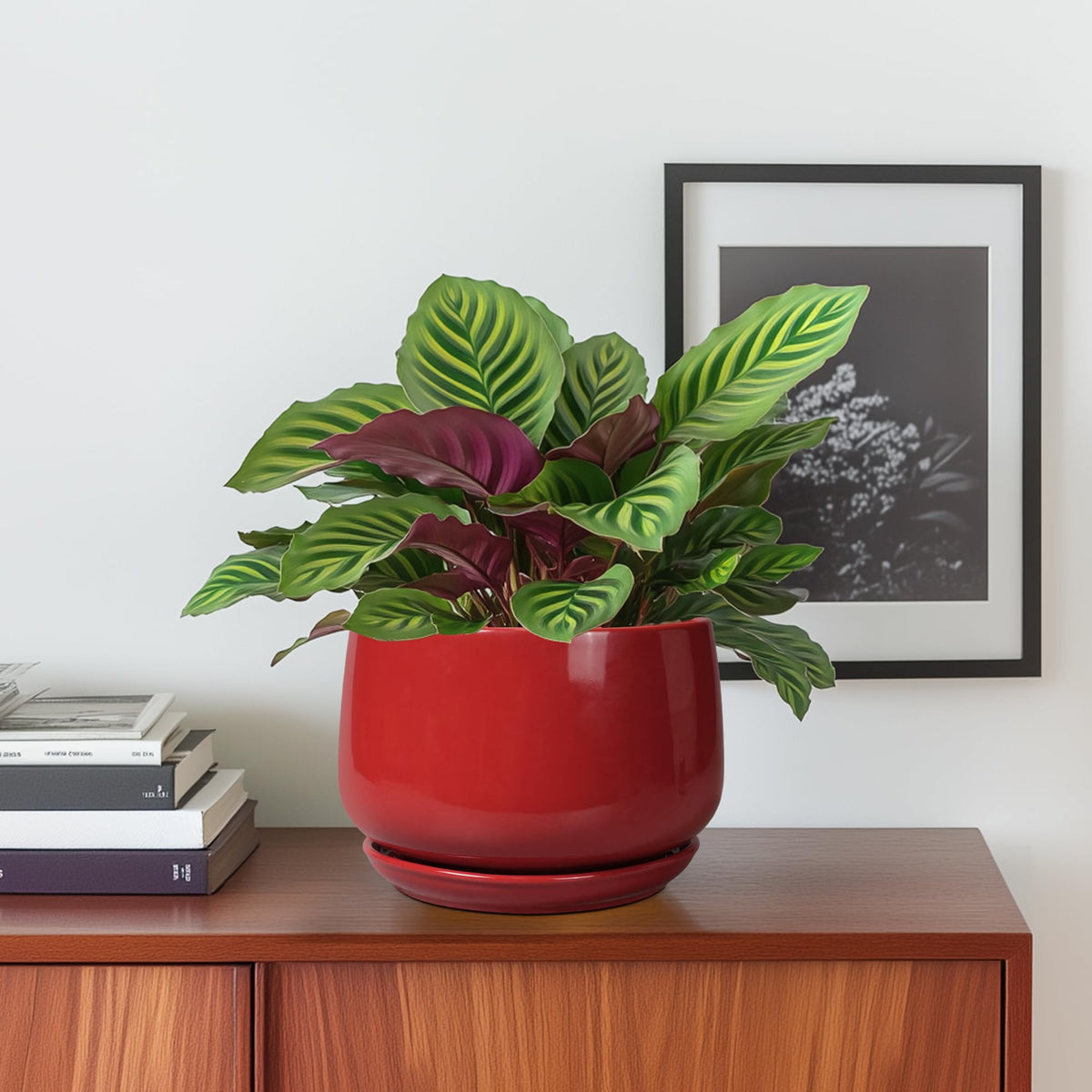 GEPGardening red ceramic pot 6-inch side angle ideal for table or shelf display