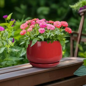 GEPGardening red ceramic pot 6-inch with saucer protects surfaces from excess water