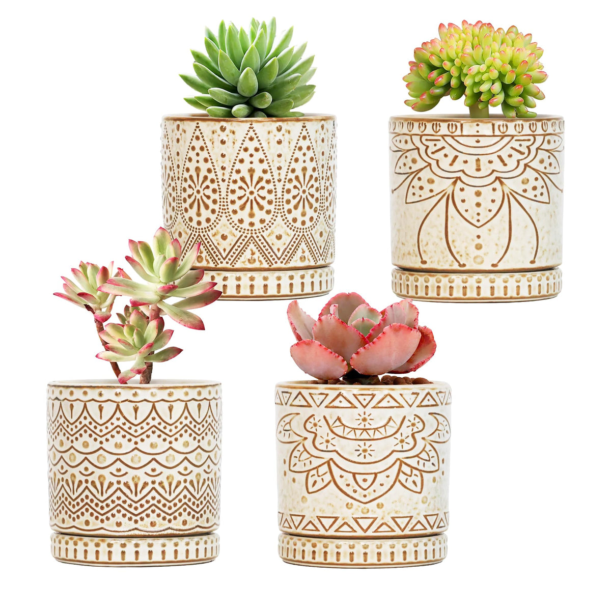 Gepege 4-inch succulent pot with drainage holes for healthy indoor plants.