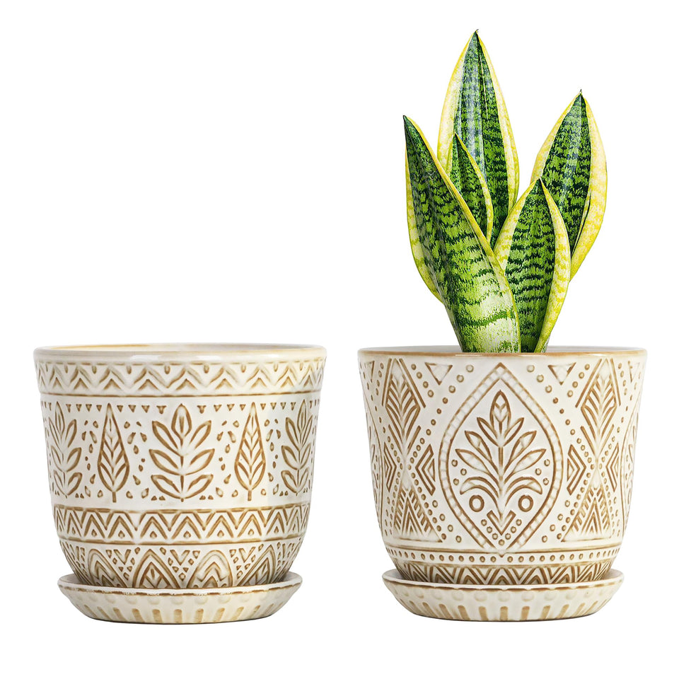 Gepege 6-inch ceramic planter, white front view, ideal for compact indoor displays.