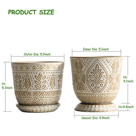 Gepege 6-inch ceramic planter with saucer for healthy indoor watering.