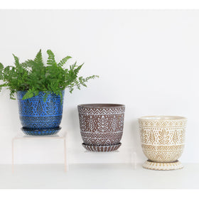 Gepege 6-inch planter with a succulent, showing compact indoor use.