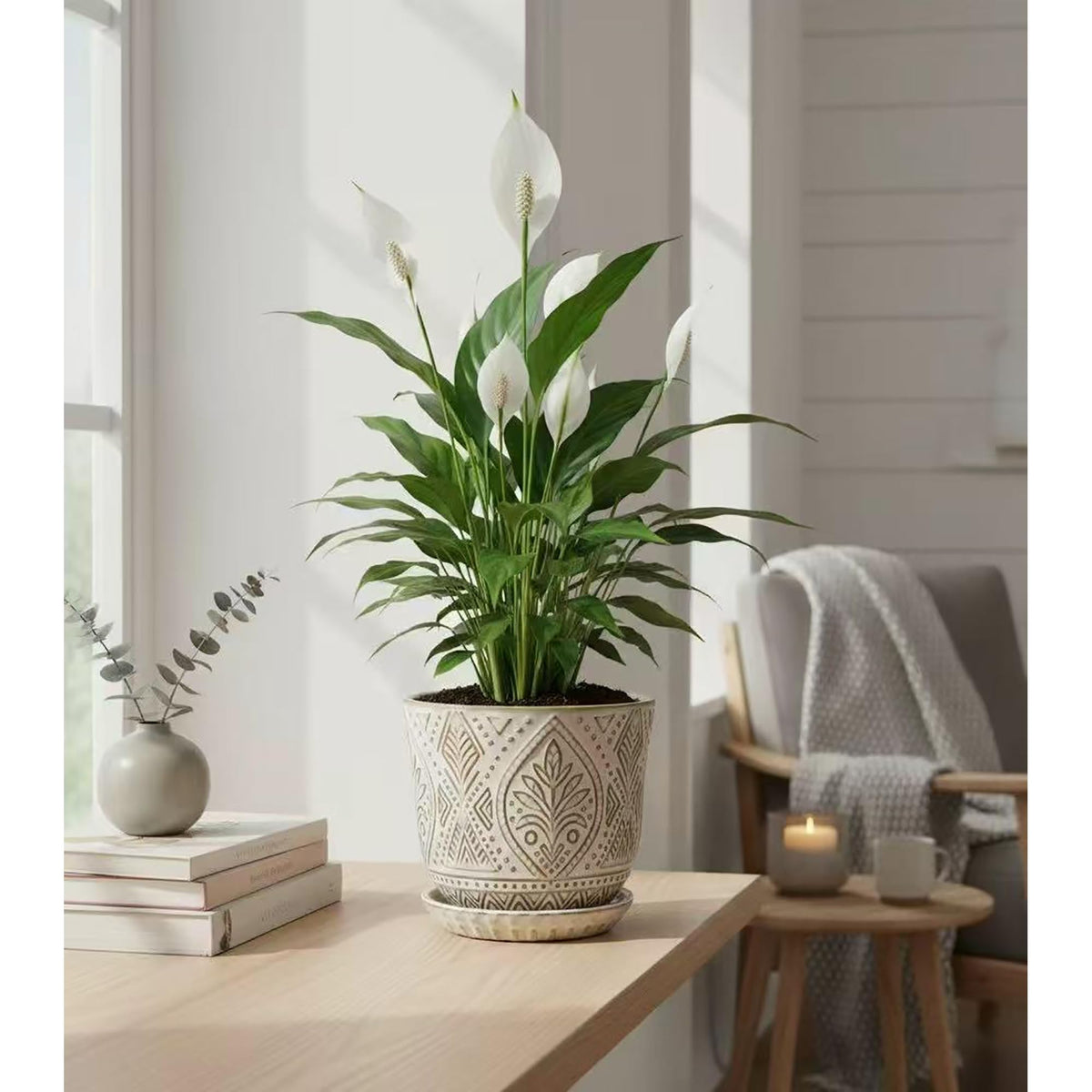 Gepege 6-inch planter in gift-ready packaging, a thoughtful housewarming option.