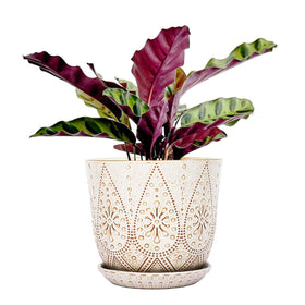 Gepege 8-Inch cream-white planter with drainage holes for healthy plant roots.