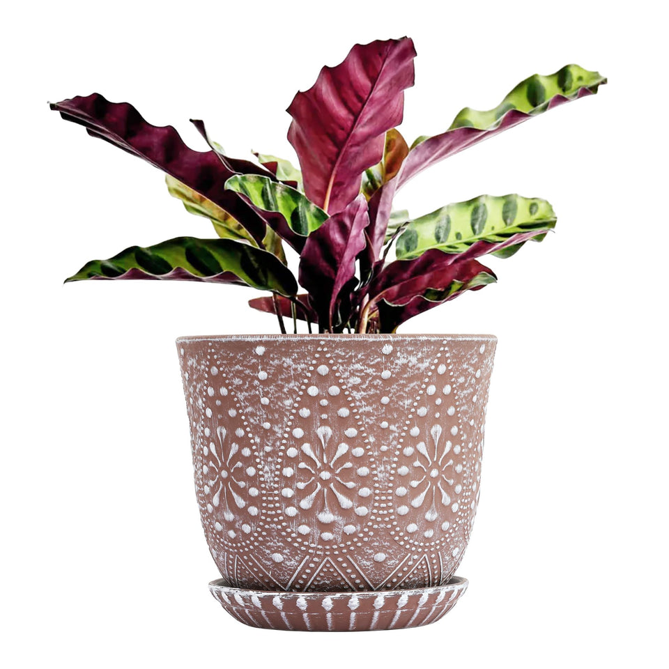 Gepege 8-inch plant pot with drainage holes for healthy watering.