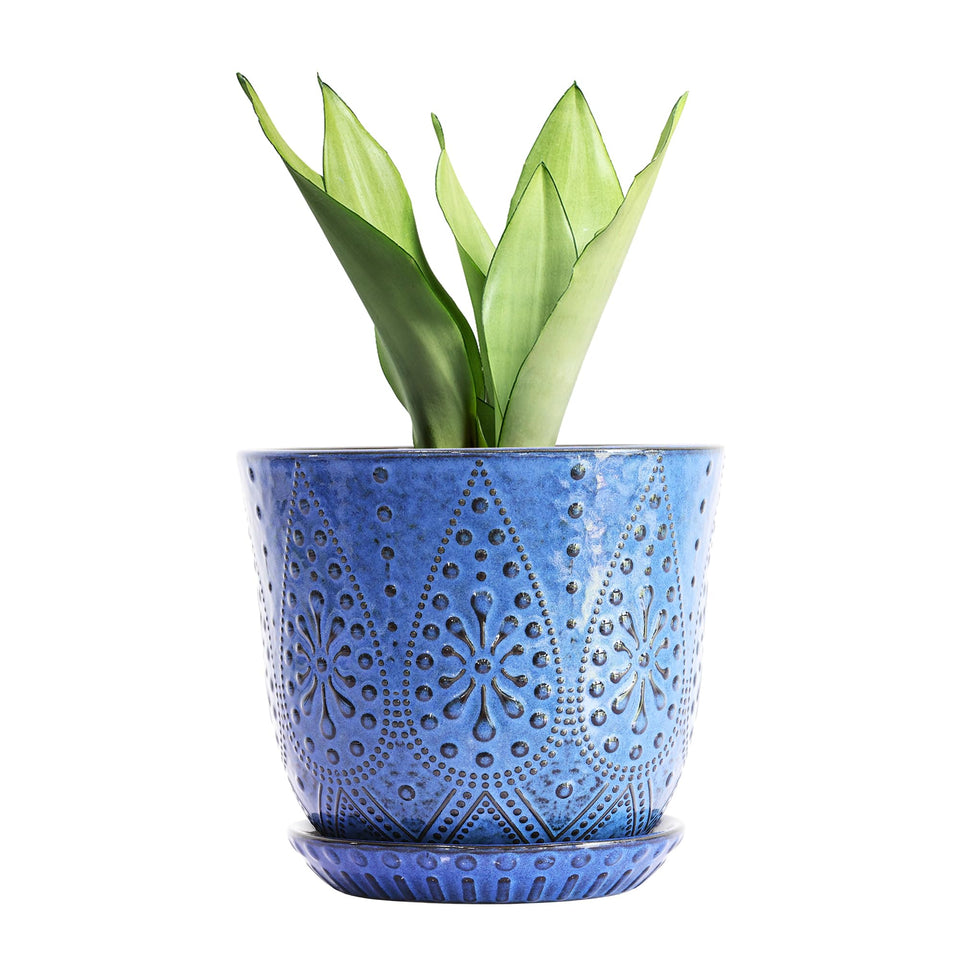 Gepege 8-inch ceramic planter with drainage holes for orchids and succulents.