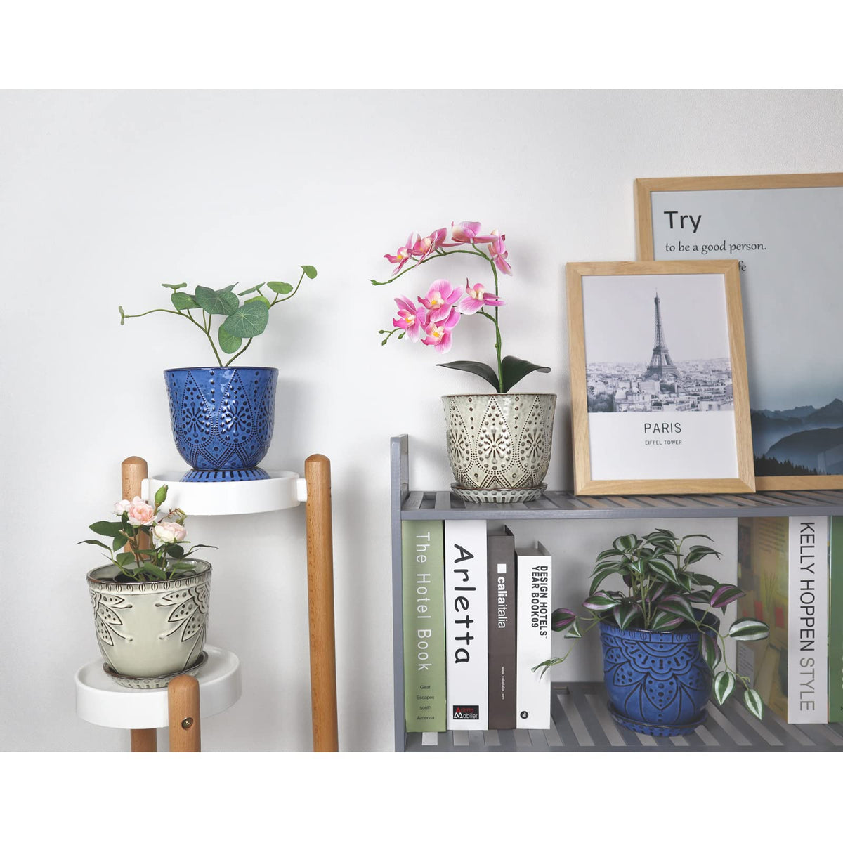 Gepege blue orchid/succulent display ready for shelves