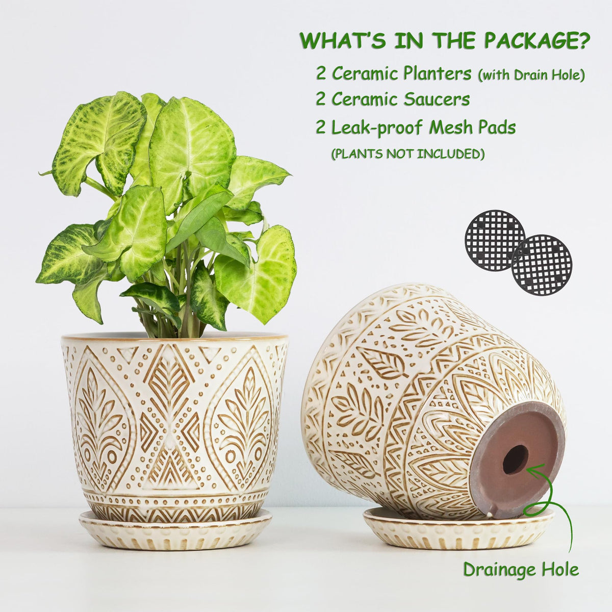 Gepege glazed ceramic planter close-up highlighting durable glaze.