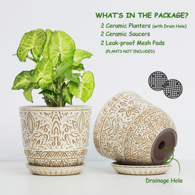 Gepege ceramic planter with saucer for neat moisture control