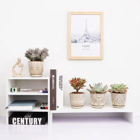 Gepege compact indoor planter, 4-inch size suitable for desks.