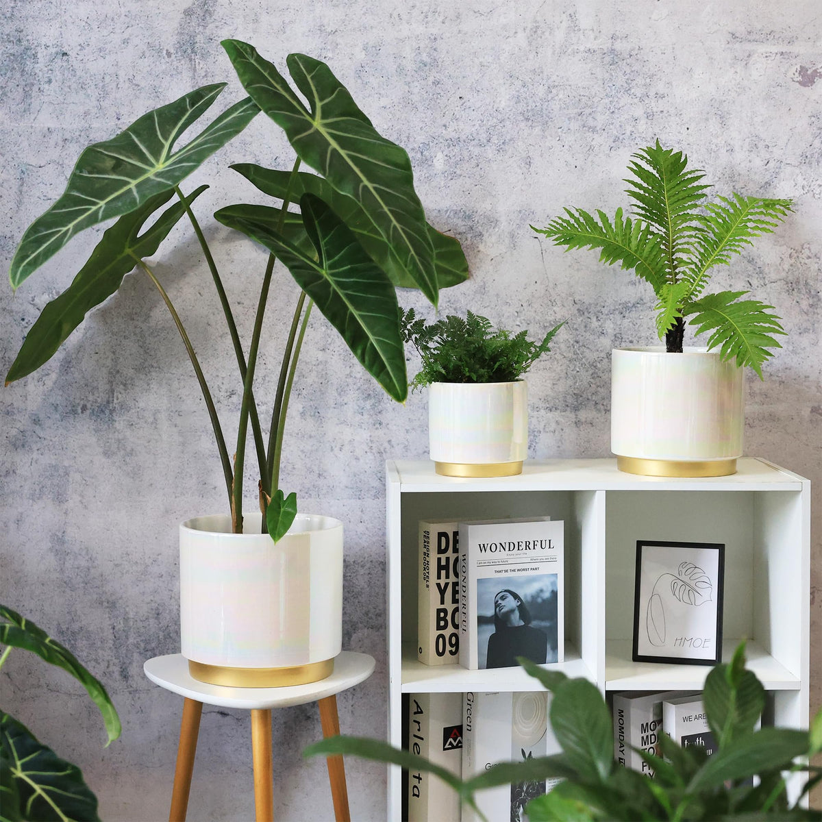 Gepege gift-ready packaging makes this planter a thoughtful present.