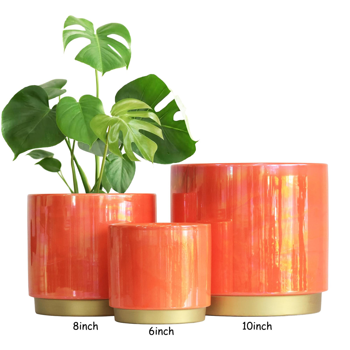 Gepege ceramic planter with drainage hole, easy maintenance and tasteful decor.