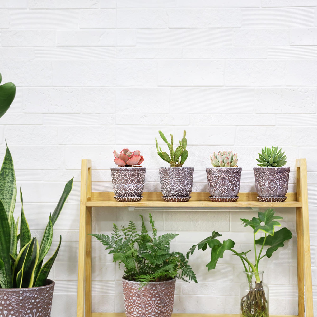 Gepege gift-ready planter set suitable for home decor and small greens
