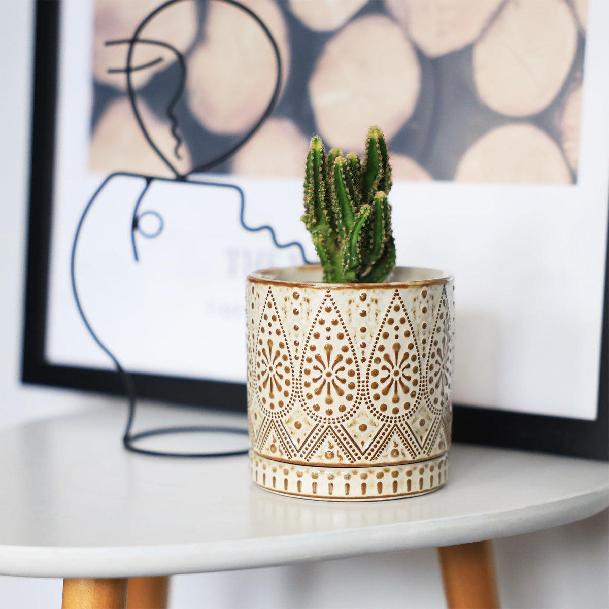 Gepege gift-ready small planters set, ideal for birthdays or housewarmings.