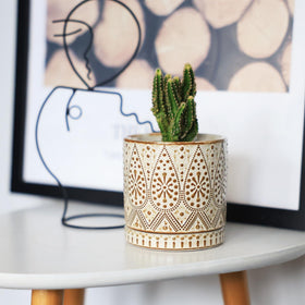 Gepege gift-ready small planters set, ideal for birthdays or housewarmings.