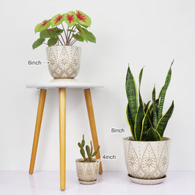 Gepege indoor outdoor planter suitable for orchids, succulents, and greens.