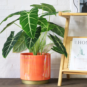 Gepege indoor-outdoor planter on balcony or desk with vibrant glaze.