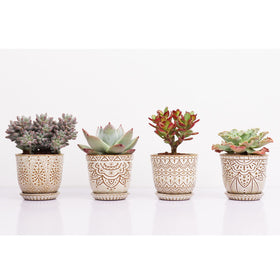 Gepege mesh pad reduces soil spill while keeping pots clean.