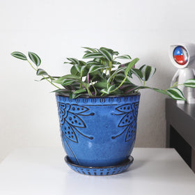 Gepege packaged blue planter set ready for gifting and decor
