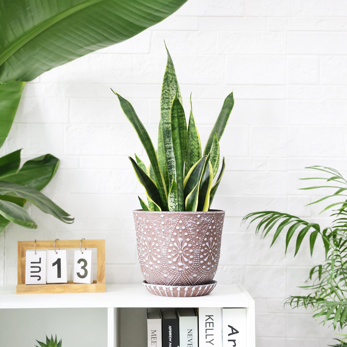 Gepege plant pot ideal for orchids, succulents, and cacti.
