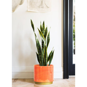 Gepege large pot, perfect gift for plant lovers.