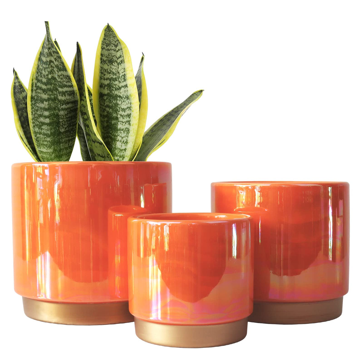 Gepege Rainbow Pearl glaze 6-inch pot with drainage for vibrant indoor greenery.
