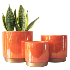 Gepege Rainbow Pearl glaze 6-inch pot with drainage for vibrant indoor greenery.