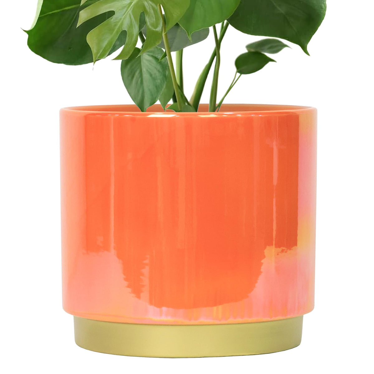 Gepege Rainbow Pearl glaze pot with drainage hole for healthy indoor plants.