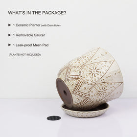 Gepege removable saucer tray for flexible display and spill prevention.