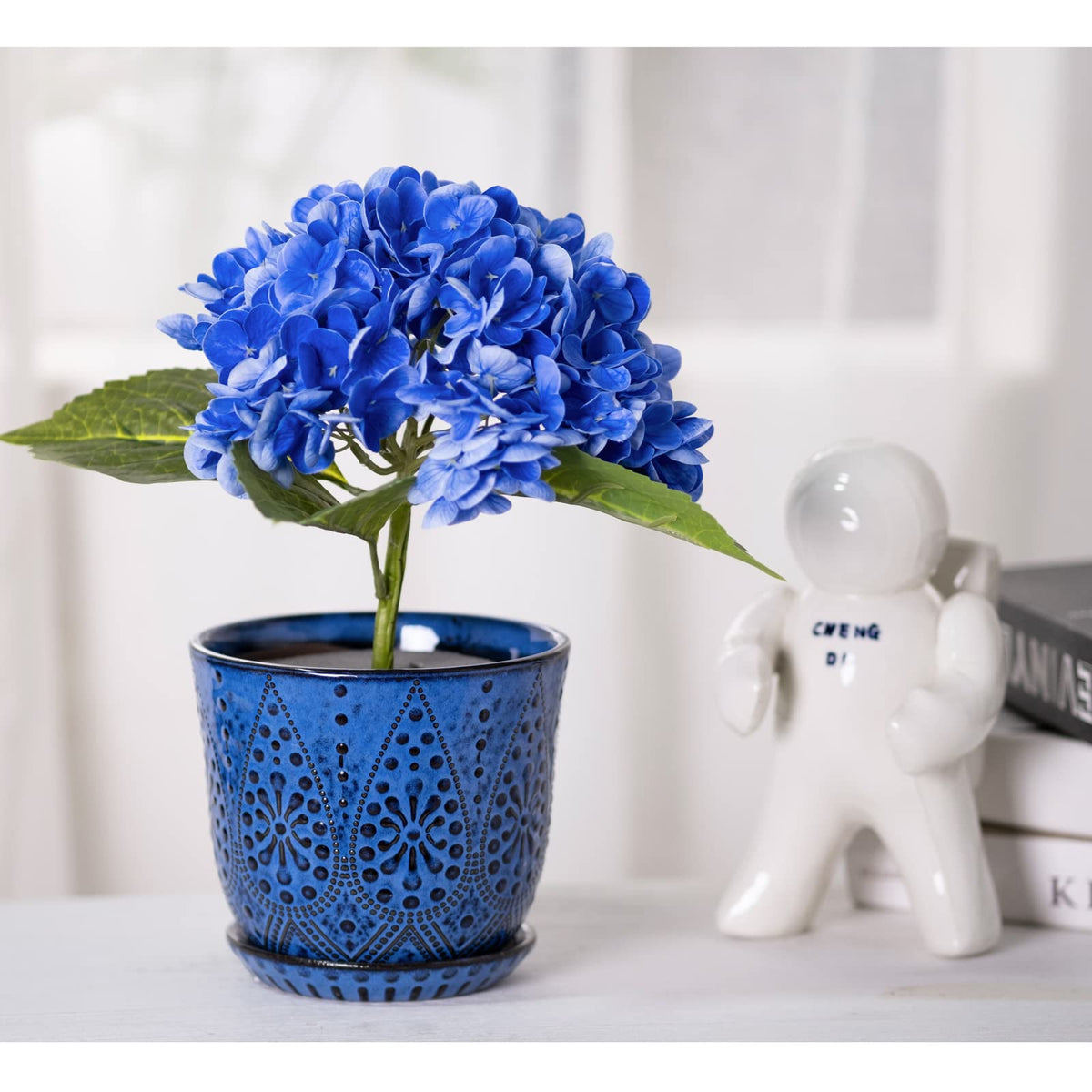 Gepege blue saucer with mesh pad aids drainage and soil control