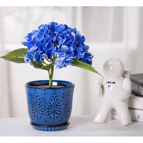 Gepege blue saucer with mesh pad aids drainage and soil control