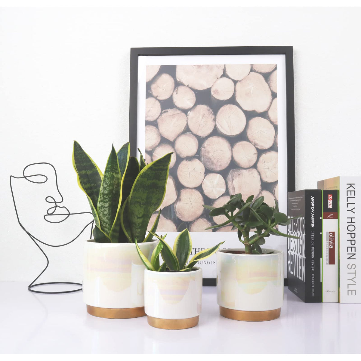 Gepege set on windowsill living room demonstrates stylish, space-saving plant display.