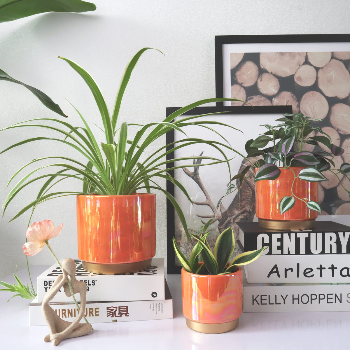 Gepege ceramic planter on shelf display enhances home decor.