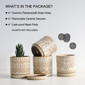 Gepege small indoor planter with glazed ceramic finish adds style to windowsills.