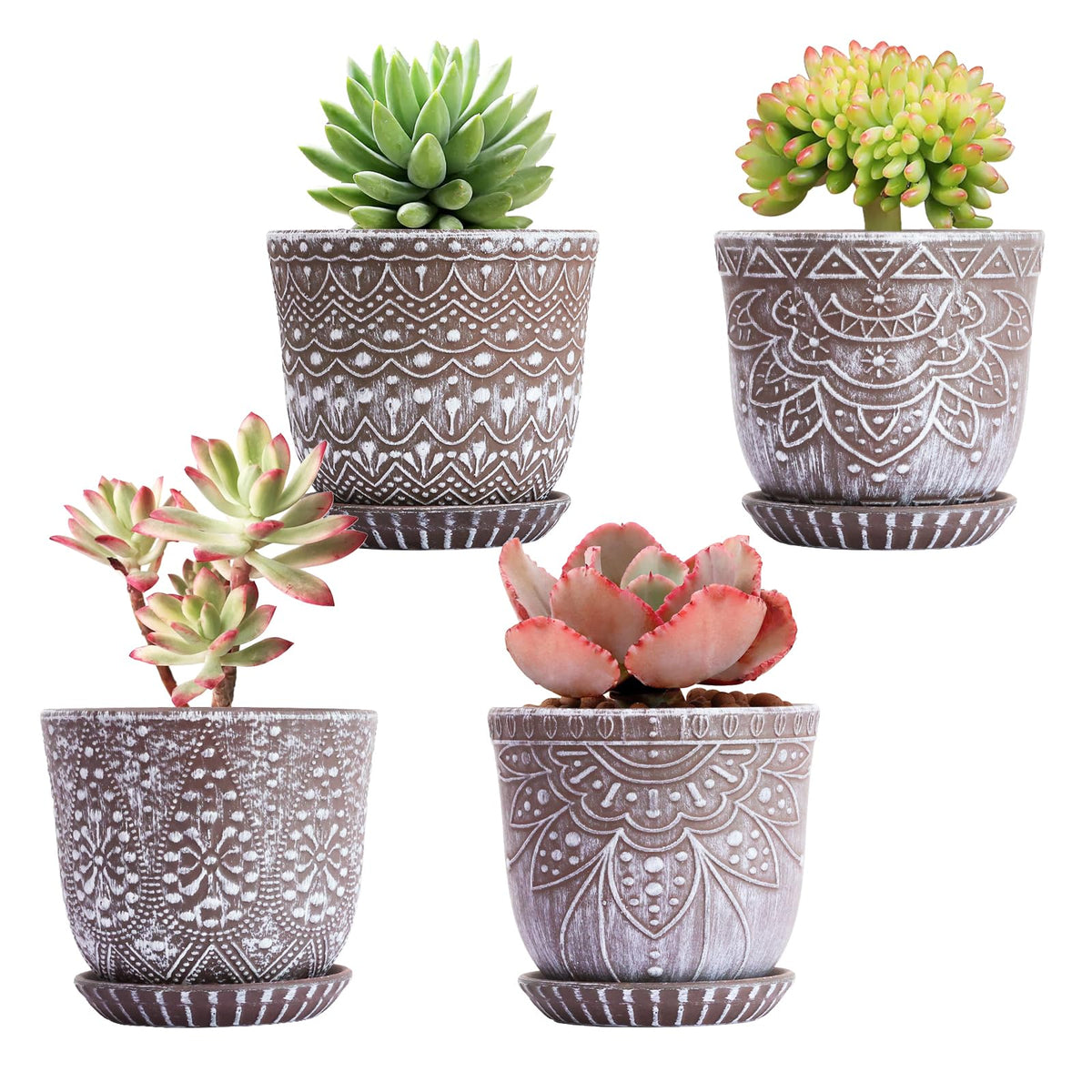 Gepege succulent pot 4-inch set4 shown as compact indoor planter for small plants